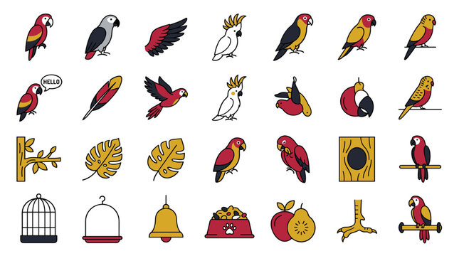 Set of colorful parrot and bird accessories icons