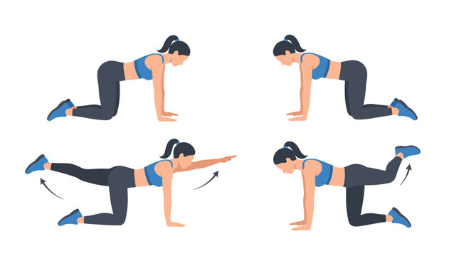 Vector illustration set of a woman performing bird-dog and glute kickback exercises, showing various steps for core stability and lower body strengthening workout in flat design style.
