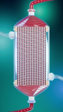 Dialyzer cutaway with blood flowing down hollow fibres as waste passes into the dialysate, vertical video loop