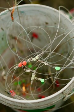 Close-up shot of hand-tied monofilament fishing line rigs with barrels swivels, crimps, and colorful attractor beads inside a container. Ideal for content related to fishing gear, terminal tackle, 
