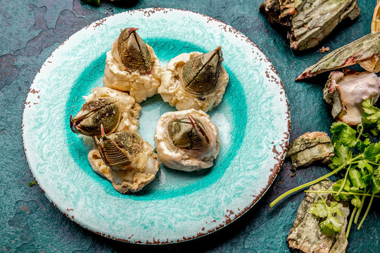SEAFOOD PICOROCO. Prepared picoroco, Austromegabalanus psittacus, the giant barnacle or picoroco. Chilean and peruvian cost seafood.