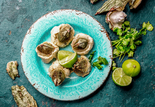 SEAFOOD PICOROCO. Prepared picoroco, Austromegabalanus psittacus, the giant barnacle or picoroco. Chilean and peruvian cost seafood.