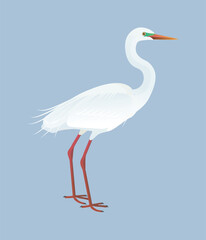 Fototapeta premium Isolated vector illustration of Plumed Egret (Ardea plumifera), a species in the Ardeidae family (including herons, egrets, and bitterns). Long-legged, long-necked, freshwater, coastal birds.