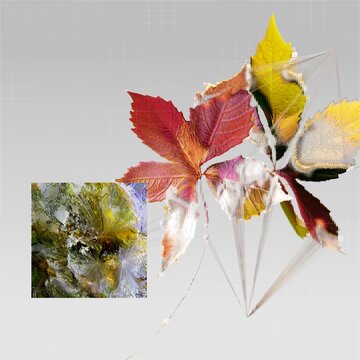 Abstract glitch art composition featuring autumn leaves with vibrant red and yellow foliage on grey background for creative modern design