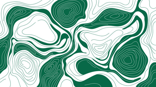 Abstract green and white wavy contour lines background vector illustration featuring fluid organic topographic map patterns