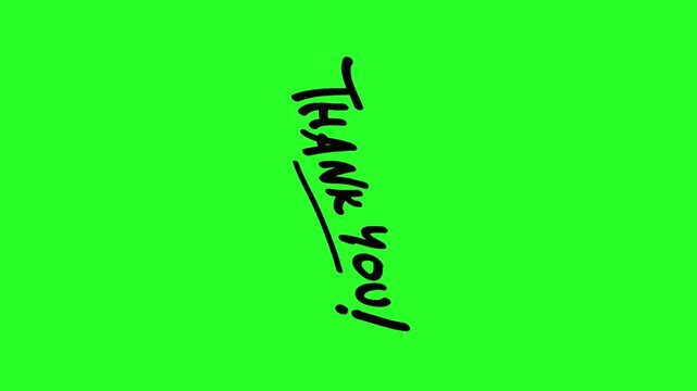 Thank You Black Hand Drawn Brush Typography with Underline Isolated on Green Screen Chroma Key Background Vector Asset   