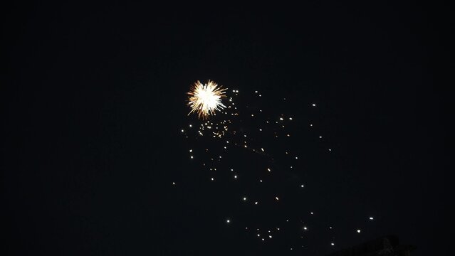 bright fireworks exploding in the night sky
