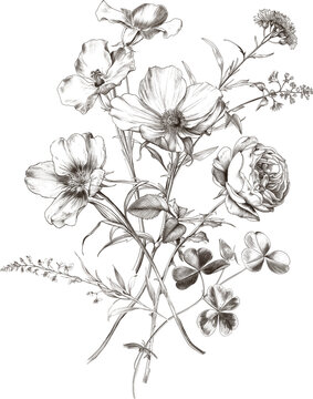 Hand-Drawn Vintage Botanical Bouquet Featuring Anemones and Roses in Monochrome