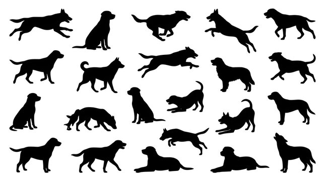 Diverse collection of black dog silhouettes showing various playful postures and walking poses captured in crisp vector graphic illustration format suitable for printing projects
