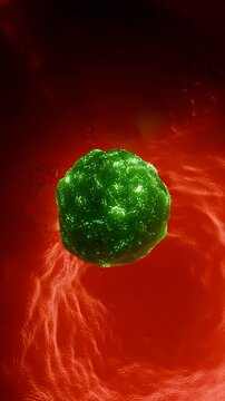 Multi Drug Resistent Pathogen Medical Stock Footage
