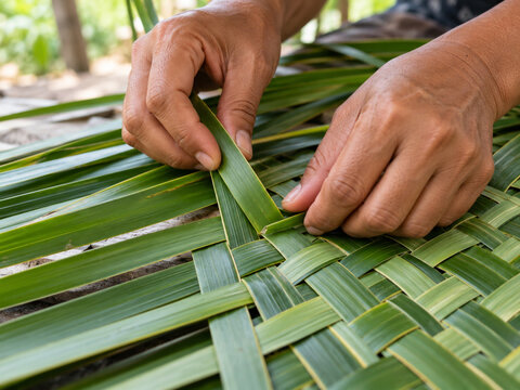 Palm leaf weaving close-up