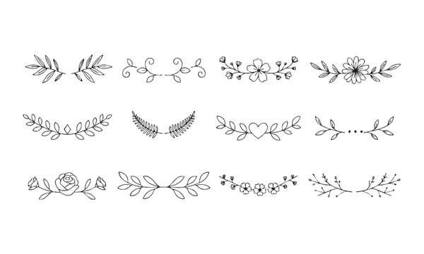 Hand Drawn Botanical Floral Dividers and Decorative Leaf Branches Set.