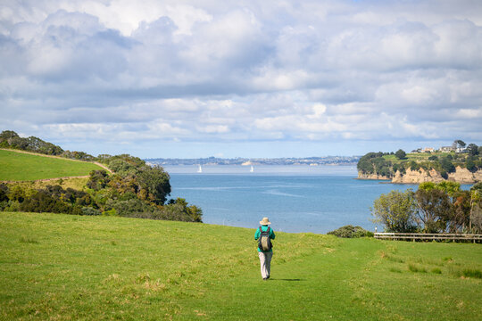 tourist walking on the green grass. Hauraki Gulf in the distance. Shakespear Regional Park. Auckland.