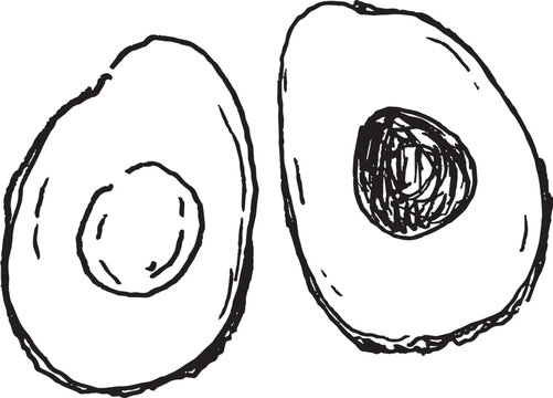 avocado sliced in half illustration. avocado hand drawn black line stroke drawing