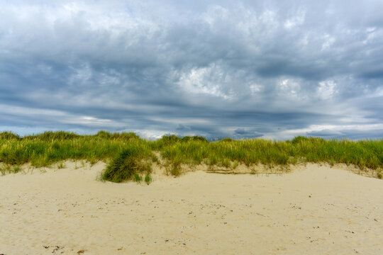 Sandy beach dunes creating a natural barrier along the coast, topped with lush green marram grass, all beneath a dramatic, overcast sky suggesting approaching weather