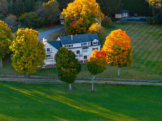 Fototapeta premium aerial view of colorful autumn tree and house