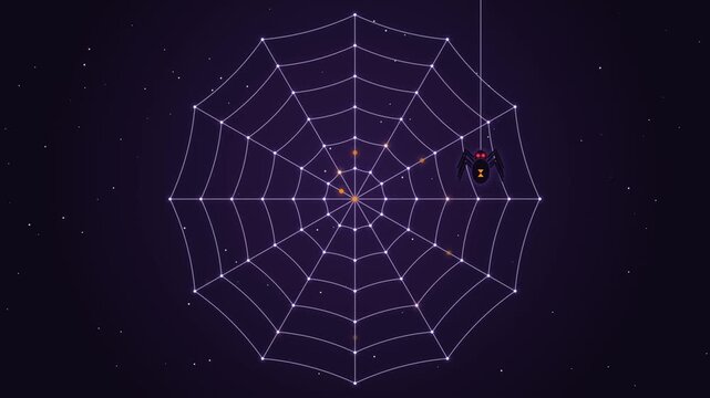 spider web