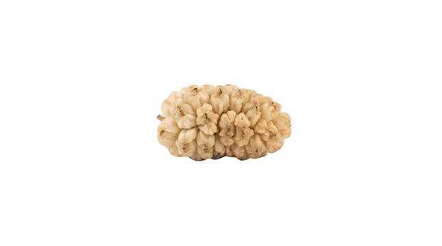 White mulberry dried fruit on white, organic sun-dried berry, textured superfood snack, healthy vegan ingredient for culinary use