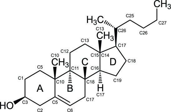 Detailed vector graphic illustration showing cholesterol chemical structure formula with carbon and hydrogen atoms