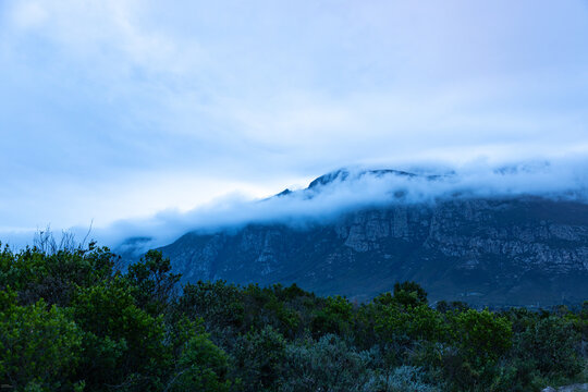 overcast  sky and clouds descending Klein Mountain, stand of trees in foreground, Stanford, South Africa