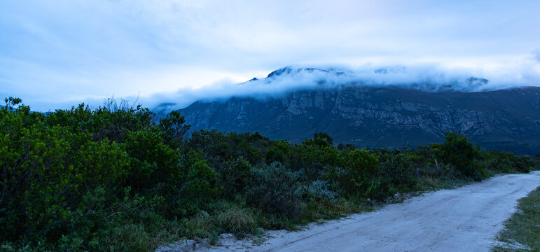 overcast  sky and clouds descending Klein Mountain, stand of trees in foreground, Stanford, South Africa