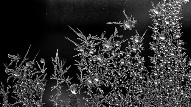 the image of frost on the glass. Subzero temperatures outside. Crystals of frozen water on glass. Beautiful pattern of frost on the window glass. ice, for text or image as background. macro