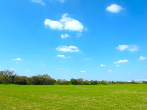 風景,河川敷, 河川敷風景, 江戸川, 江戸川河川敷, 芝生, 草原, 野原, 原っぱ, 緑, グリーン, 無人, 木立, グランド, グラウンド, ピッチ, サッカー場, 球技場, 除草, 空, 青空, 晴れ空, 秋空, 秋晴れ, 雲, 晴れ, 浮雲, 秋, 10月, 朝,屋外, 平日, 千葉県, 日本, コピースペース