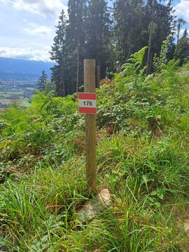 Red-white-red hiking trail marker 176 on a wooden post, Carinthia