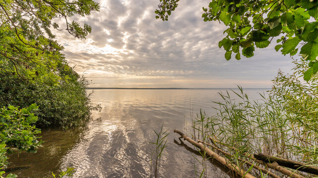 Morgend&auml;mmerung an der M&uuml;ritz im Sommer