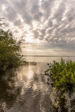 Morgend&auml;mmerung an der M&uuml;ritz im Sommer