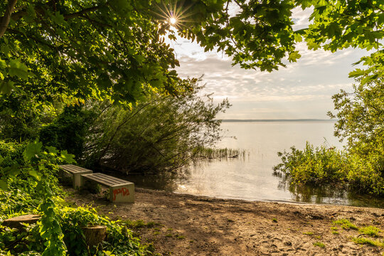 Morgend&auml;mmerung an der M&uuml;ritz im Sommer