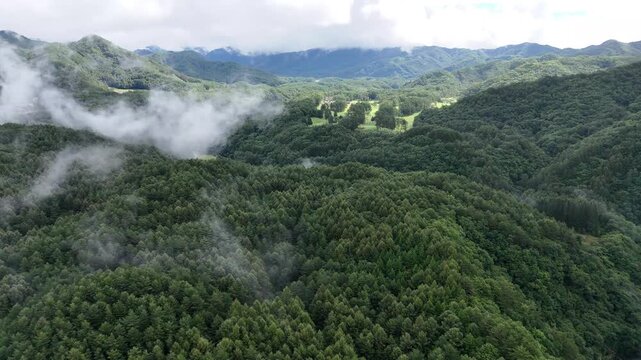 Pale cloud patches hang over densely forested hills with a brighter mountain ridge and clearing sky beyond.