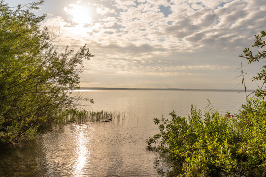 Morgend&auml;mmerung an der M&uuml;ritz im Sommer