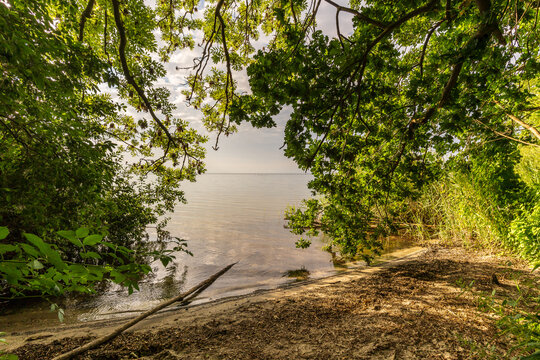 Morgend&auml;mmerung an der M&uuml;ritz im Sommer
