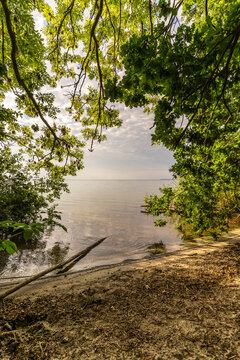 Morgend&auml;mmerung an der M&uuml;ritz im Sommer