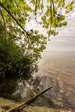 Morgend&auml;mmerung an der M&uuml;ritz im Sommer