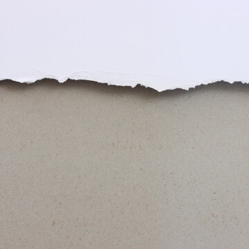 Background of white torn paper