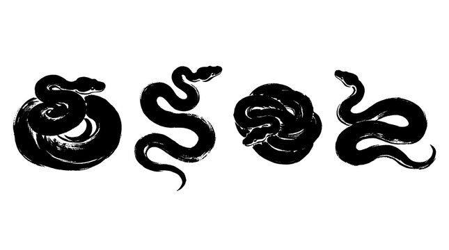 ball python snake , Japanese ink brush painting set PNG