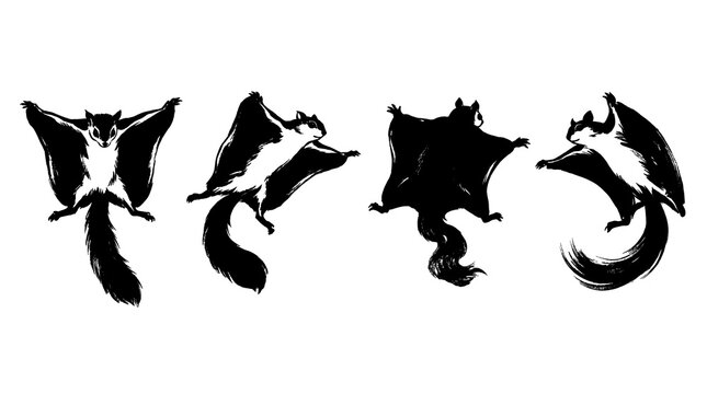 flying squirrel , Japanese ink brush painting set PNG