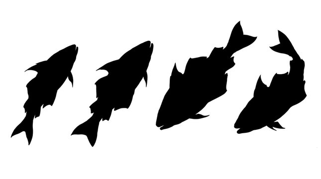 haddock , Japanese ink brush painting set PNG