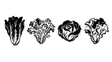 Fototapeta premium lettuce , Japanese ink brush painting set PNG