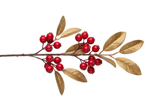 Decorative branch featuring vibrant red berries and metallic gold leaves