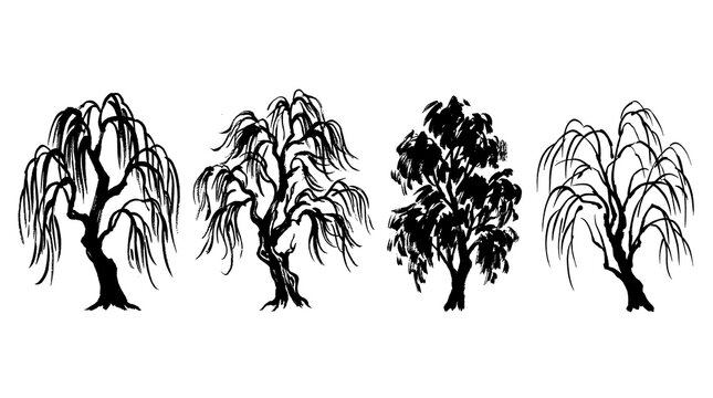 willow tree , Japanese ink brush painting set PNG