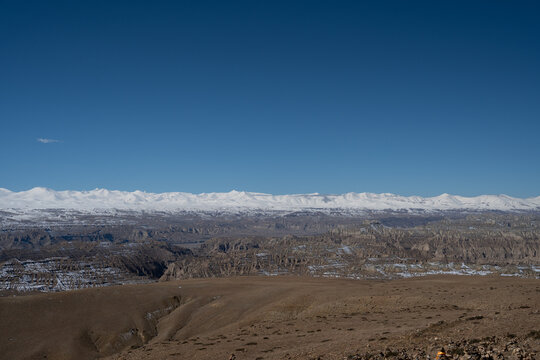 Zanda earth forest and a snowy horizon under a blue sky