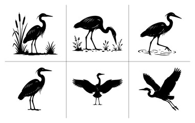 Fototapeta premium Heron silhouettes set with standing, foraging, wading, displaying wings and flying poses for nature logos