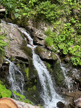 Forest waterfall over mossy rocks, Caucasus, Russia