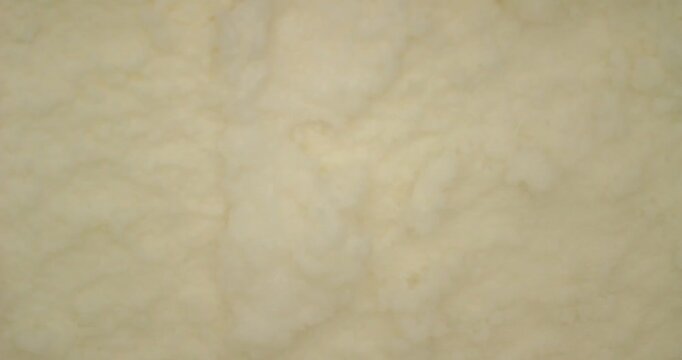 The pulp is screened to remove lumps or any remaining coarse fibers that have not been broken down. This is part of the process of making paper from eucalyptus wood. 