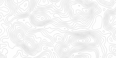 Pattern with lines The stylized height of the topographic map contour in lines and contours isolated on transparent. Black and white topography contour lines map isolated on white background. © armans