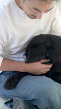 自宅で日本人男性の膝の上に抱っこで乗って甘える黒い大型犬、飼い主に体を預けてリラックスする愛犬とのスキンシップの縦動画　かわいい