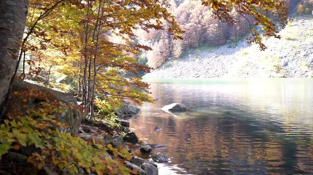 Autumn lake framed by trees and golden leaves